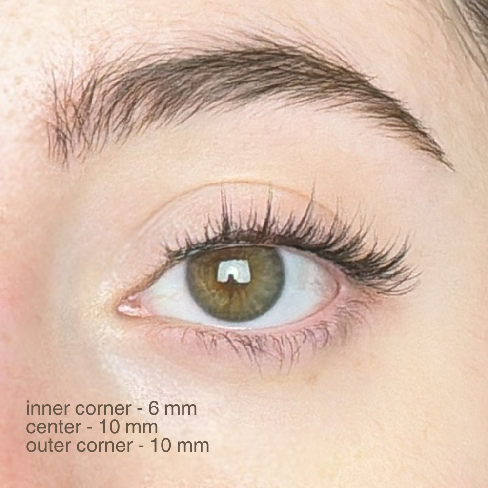 magnetic lashes | #1 light rose