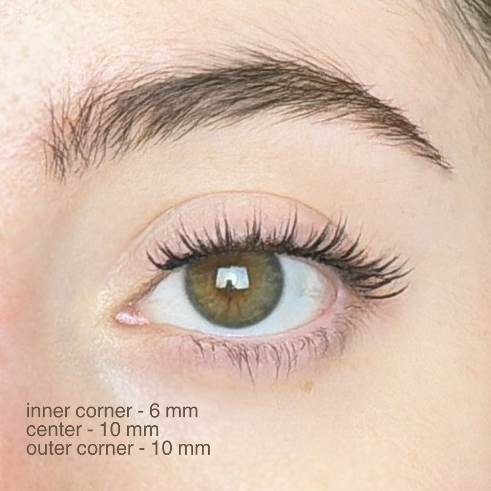 magnetic lashes | #10 amber black