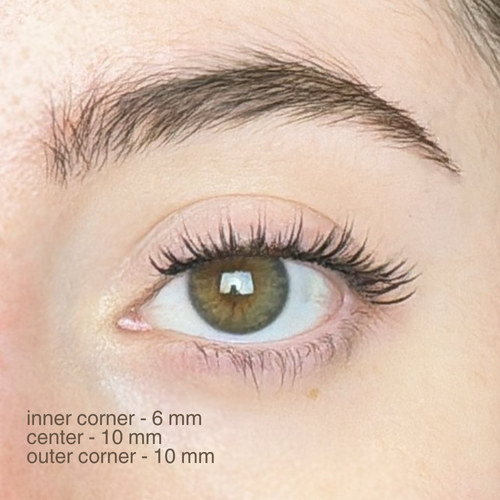#10 amber black