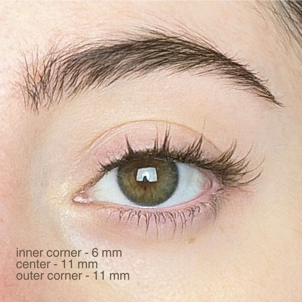 magnetic lashes | #11 amber brown