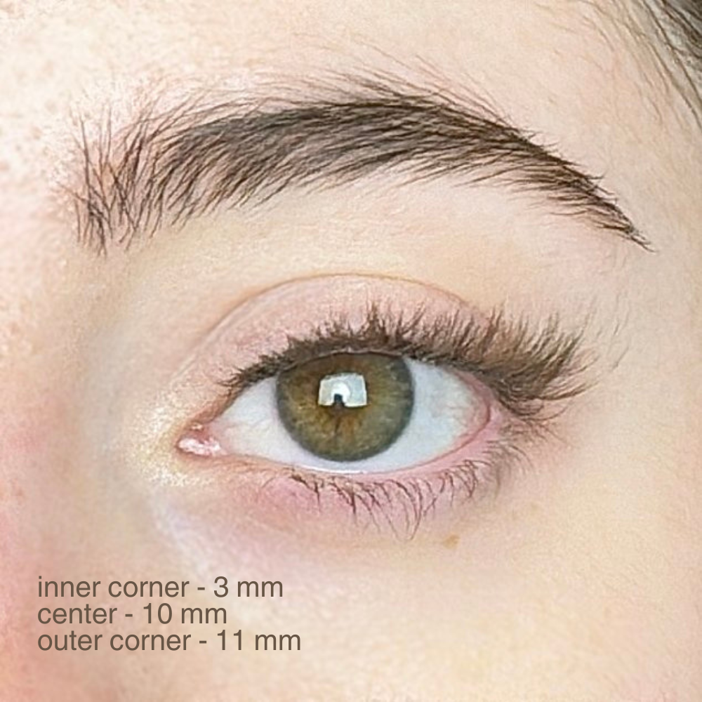 magnetic lashes | #12 cerulean brown