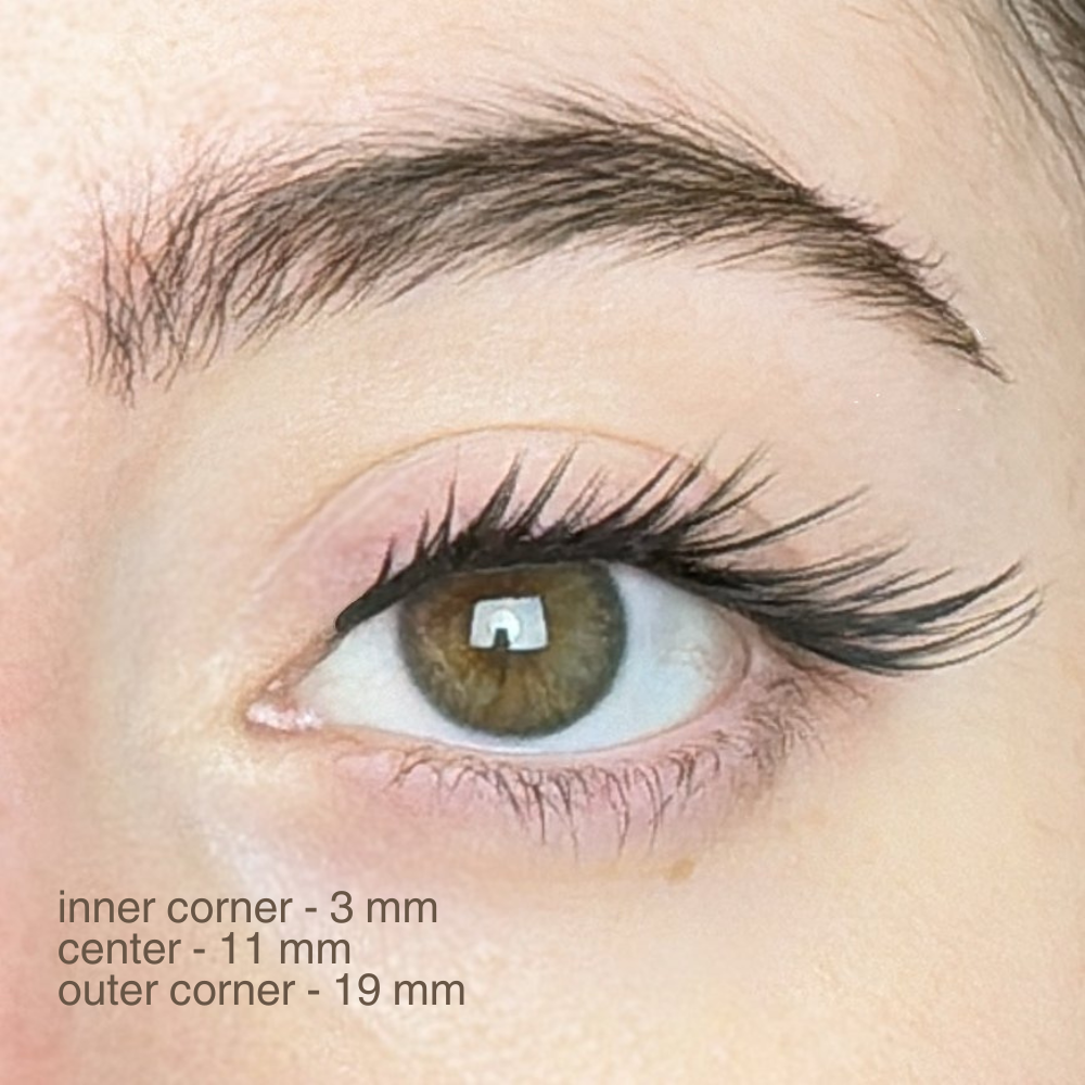 magnetic lashes | #14 foxy dark