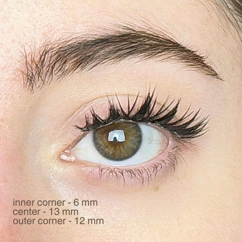 magnetic lashes | STYLE D